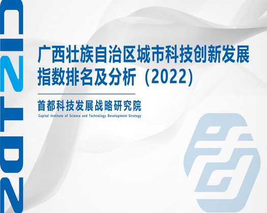 女性操屄视瓶网站【成果发布】广西壮族自治区城市科技创新发展指数排名及分析（2022）